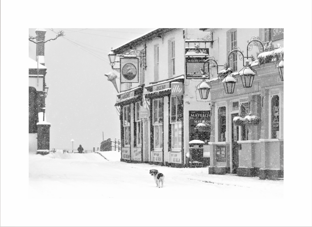 Snow Dog Print
