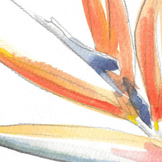 Bird of Paradise Giclée Print