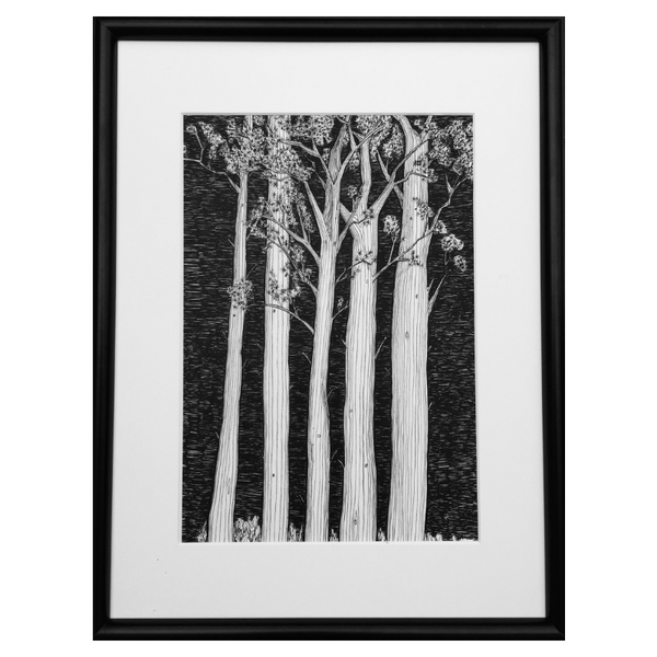 Dark Pines Print