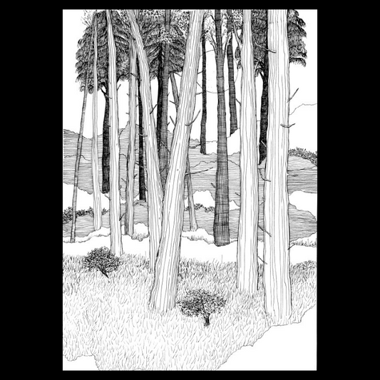 Moonlight Forest Print