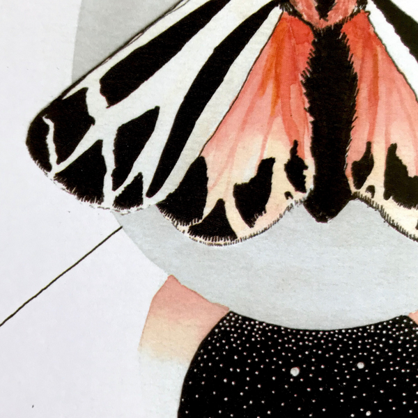 Tiger Moth Print