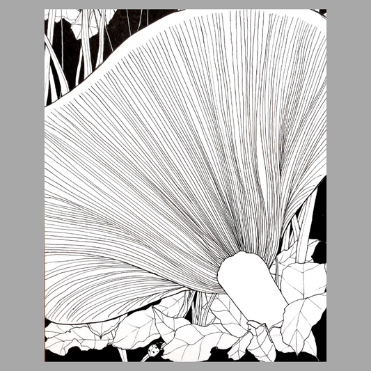 Mushroom Magic Print