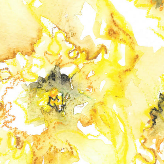 Daffodils Giclée Print