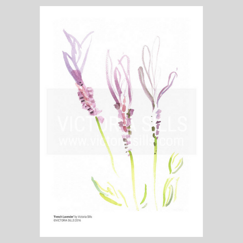 French Lavender Giclée Print