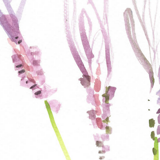 French Lavender Giclée Print
