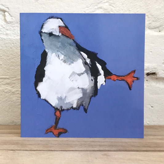 Seagull Greetings Card
