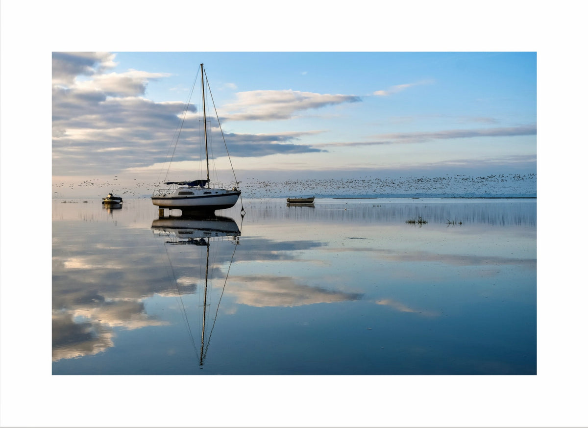 Brent Geese Reflection Print
