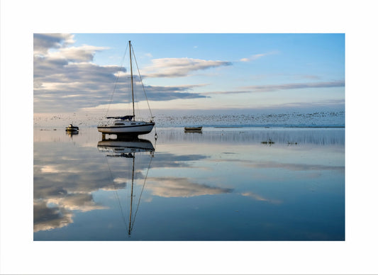 Brent Geese Reflection Print