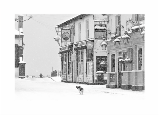 Snow Dog Print
