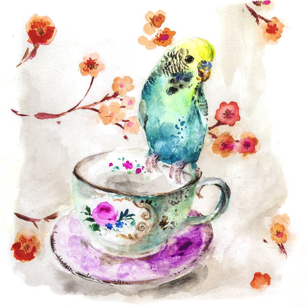Budgie on a teacup - Limited edition giclee print