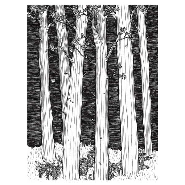 Grey Woods Print