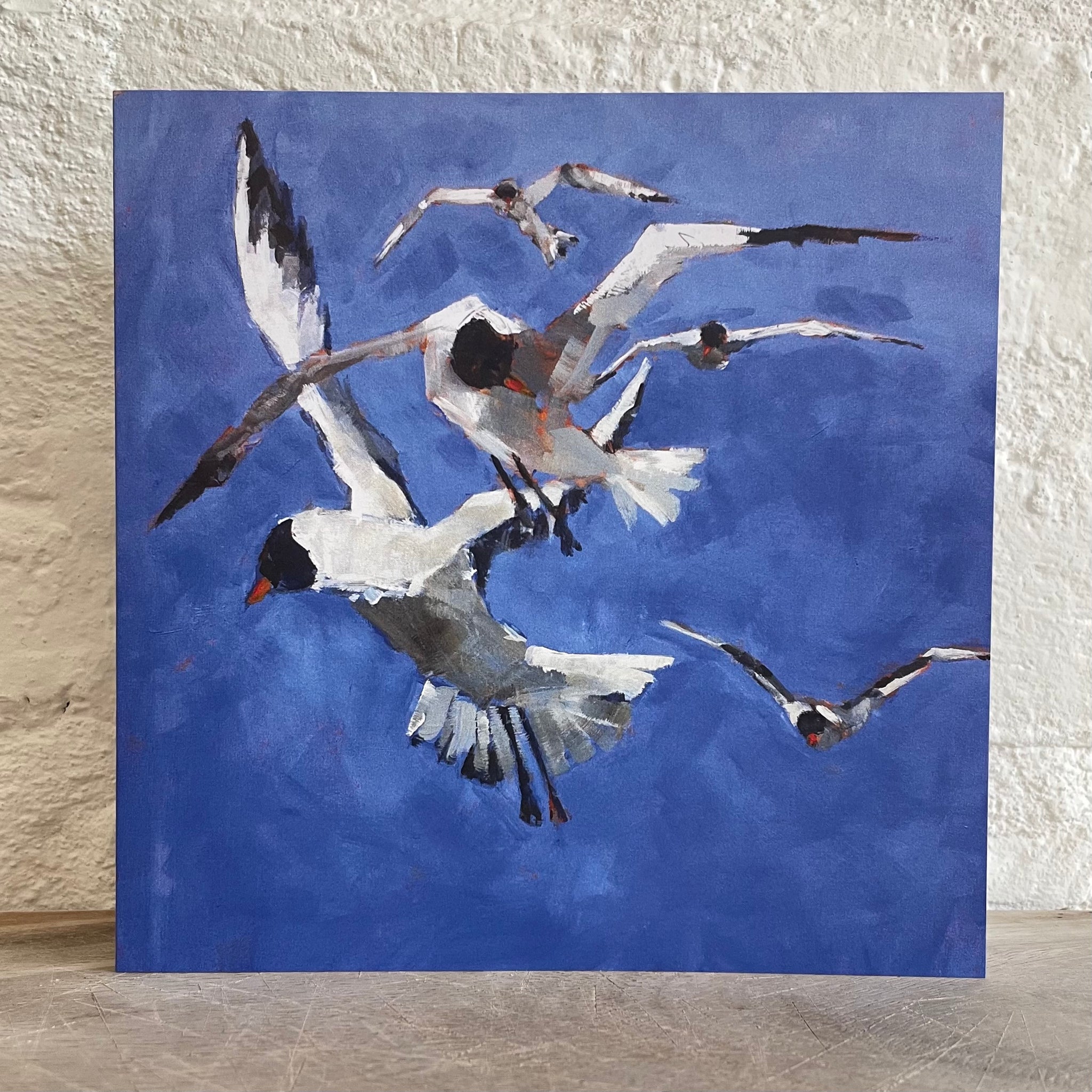 Hovering Seagulls Card