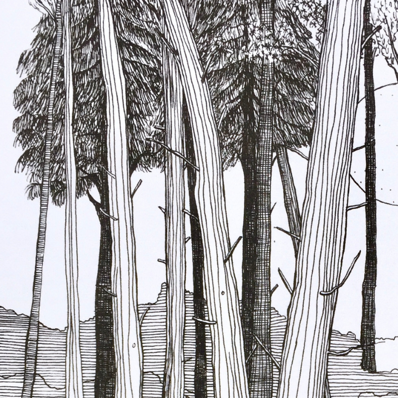 Moonlight Forest Print