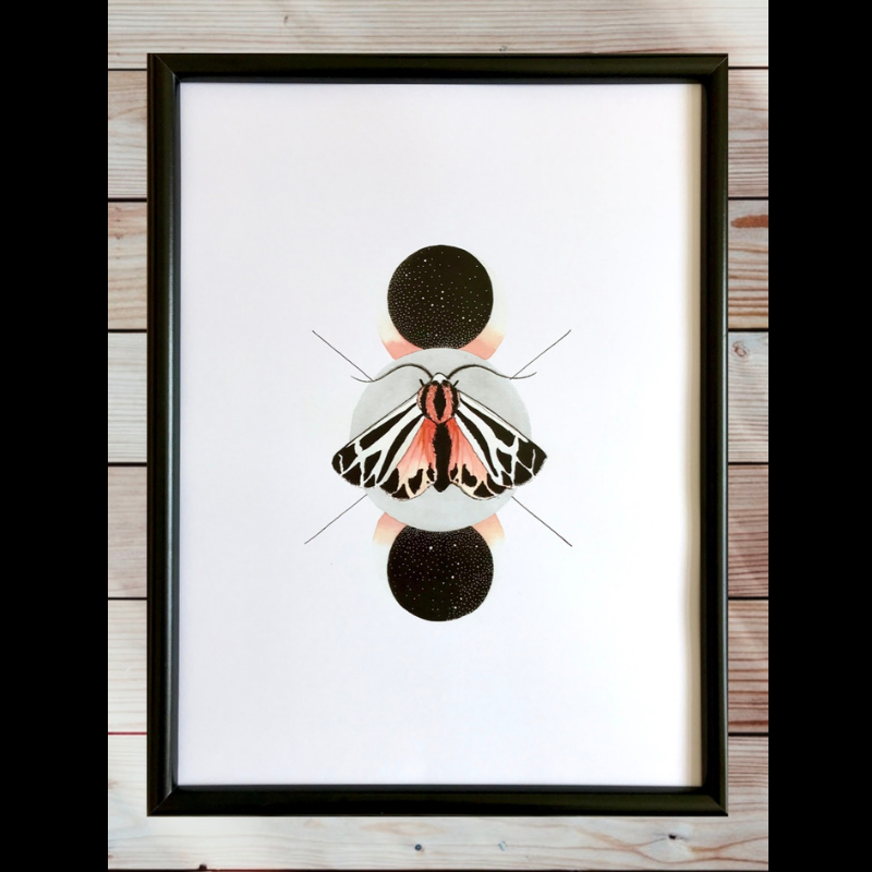 Tiger Moth Print