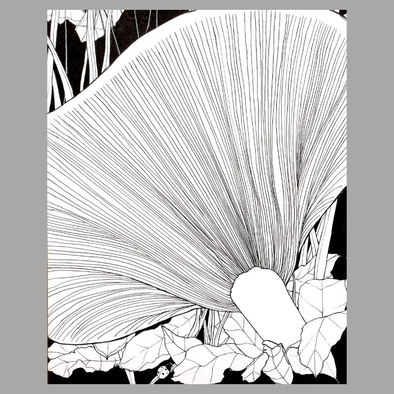 Mushroom Magic Print