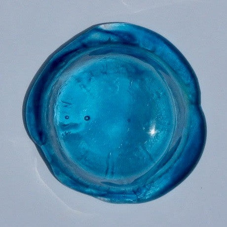 Sea creature dish - Turquoise 2