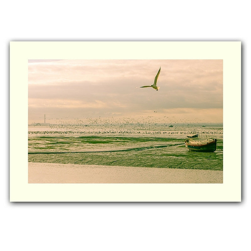One gull, 1000 geese print