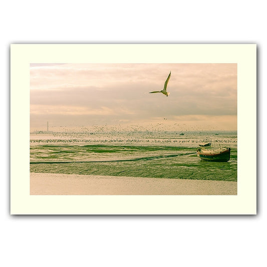One gull, 1000 geese print
