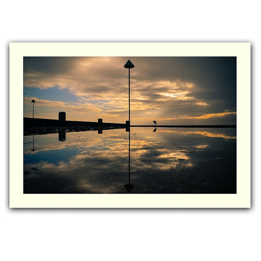 Early bird print