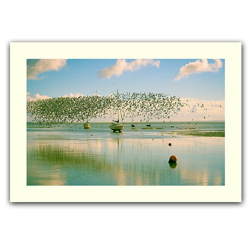 Dunlin dance print
