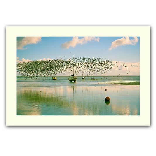 Dunlin dance print