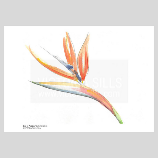 Bird of Paradise Giclée Print
