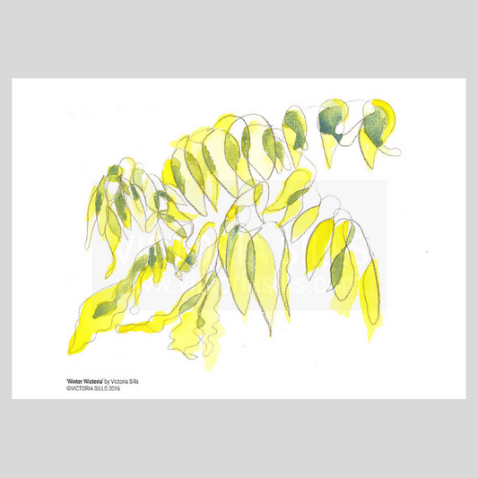 Winter Wisteria Giclée Print