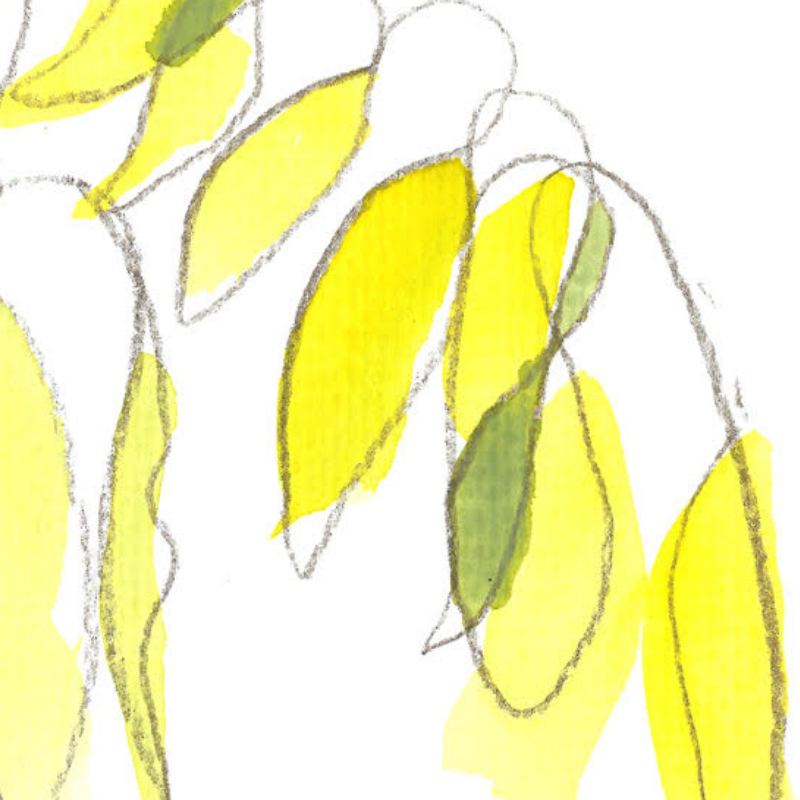 Winter Wisteria Giclée Print