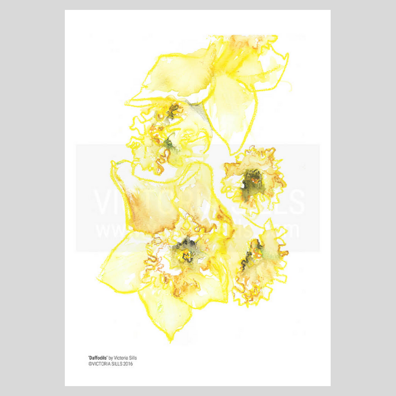 Daffodils Giclée Print