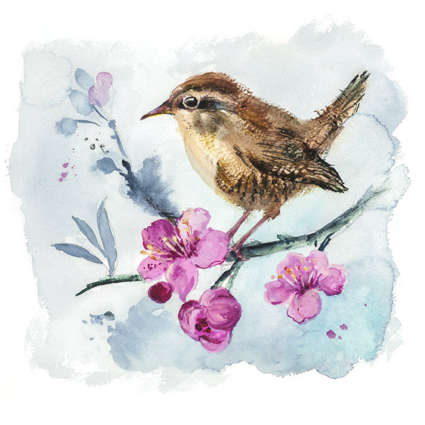 Wren - Limited edition giclee print
