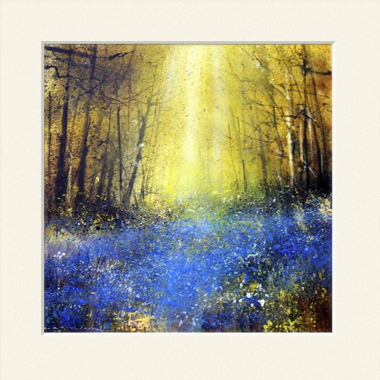 Bluebells and Sunlight print